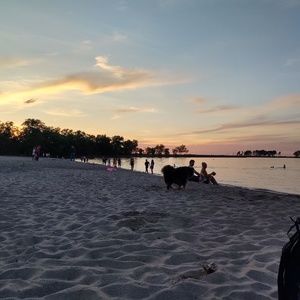 Meet your Posher, Elsie